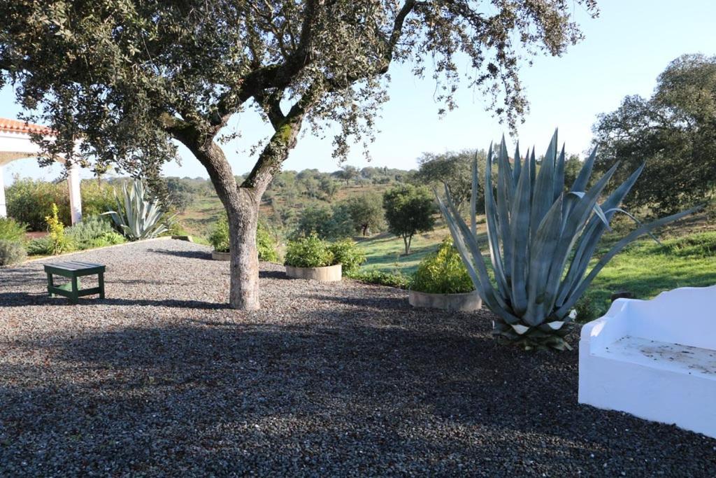 شقة Monte Novo Da Sobreira, Rust En Ruimte In Zuid Alentejo أوريكي المظهر الخارجي الصورة
