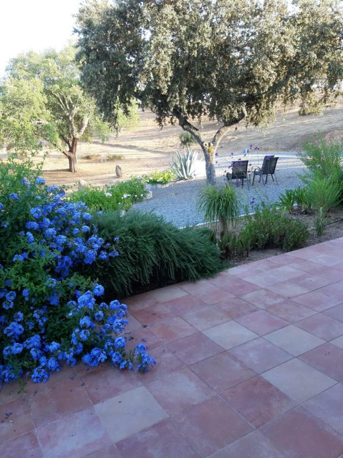 شقة Monte Novo Da Sobreira, Rust En Ruimte In Zuid Alentejo أوريكي المظهر الخارجي الصورة